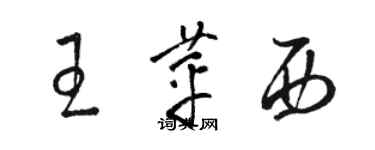 駱恆光王苹西草書個性簽名怎么寫