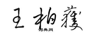駱恆光王柏獲草書個性簽名怎么寫