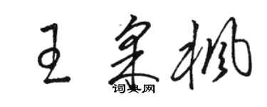 駱恆光王采楓草書個性簽名怎么寫