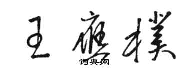 駱恆光王應朴草書個性簽名怎么寫