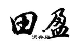 胡問遂田盈行書個性簽名怎么寫