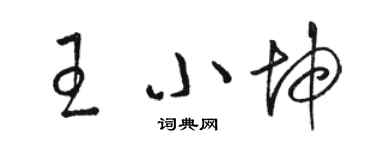 駱恆光王小坤草書個性簽名怎么寫