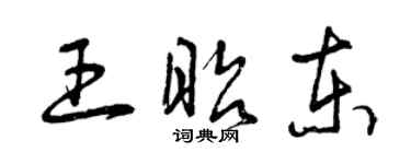 曾慶福王昭東草書個性簽名怎么寫