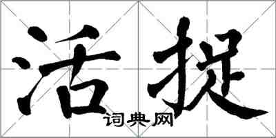 翁闓運活捉楷書怎么寫