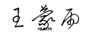 駱恆光王蒙雨草書個性簽名怎么寫