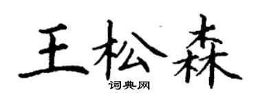 丁謙王松森楷書個性簽名怎么寫