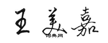 駱恆光王美嘉行書個性簽名怎么寫