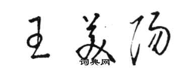 駱恆光王美陽草書個性簽名怎么寫