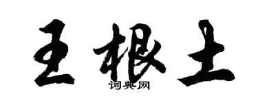 胡問遂王根土行書個性簽名怎么寫