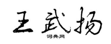 曾慶福王武揚行書個性簽名怎么寫