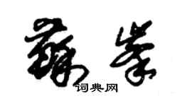 朱錫榮蘇峰草書個性簽名怎么寫