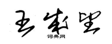 朱錫榮王成望草書個性簽名怎么寫