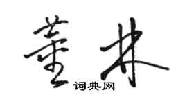駱恆光董林草書個性簽名怎么寫