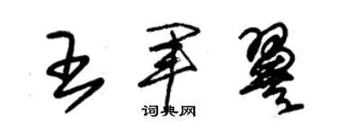 朱錫榮王軍翼草書個性簽名怎么寫