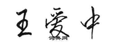 駱恆光王愛中行書個性簽名怎么寫