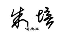 朱錫榮朱培草書個性簽名怎么寫
