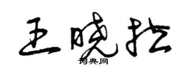 曾慶福王曉拉草書個性簽名怎么寫