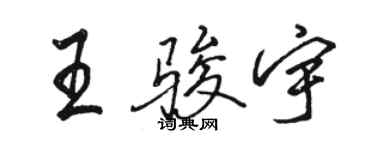 駱恆光王駿宇行書個性簽名怎么寫