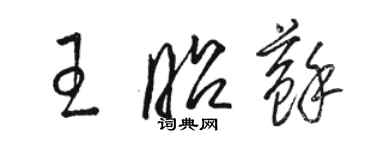 駱恆光王昭蘇草書個性簽名怎么寫