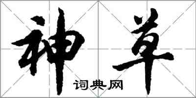 胡問遂神草行書怎么寫