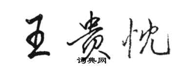 駱恆光王貴忱行書個性簽名怎么寫