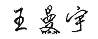 駱恆光王曼宇行書個性簽名怎么寫