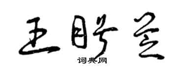 曾慶福王盼芝草書個性簽名怎么寫