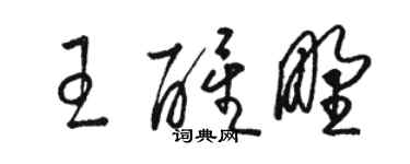 駱恆光王醒野草書個性簽名怎么寫