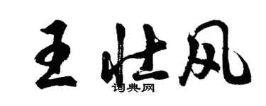 胡問遂王壯風行書個性簽名怎么寫