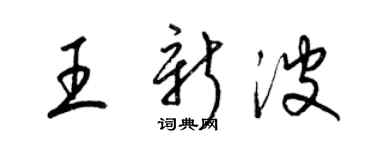 梁錦英王新波草書個性簽名怎么寫