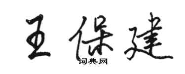 駱恆光王保建行書個性簽名怎么寫