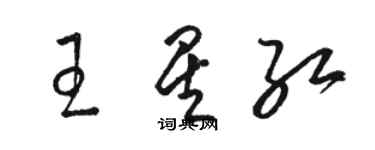 駱恆光王星紅草書個性簽名怎么寫