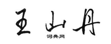 駱恆光王山丹行書個性簽名怎么寫