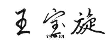 駱恆光王寶旋行書個性簽名怎么寫