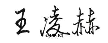 駱恆光王凌赫行書個性簽名怎么寫