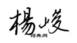 王正良楊峻行書個性簽名怎么寫