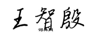 王正良王智殷行書個性簽名怎么寫
