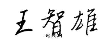 王正良王智雄行書個性簽名怎么寫