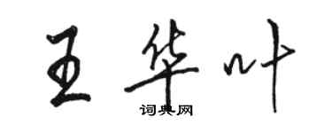 駱恆光王華葉行書個性簽名怎么寫