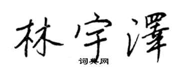 王正良林宇澤行書個性簽名怎么寫