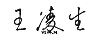 駱恆光王凌生草書個性簽名怎么寫