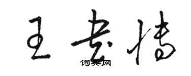 駱恆光王書博草書個性簽名怎么寫
