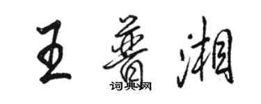 駱恆光王普湘行書個性簽名怎么寫