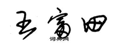 朱錫榮王富田草書個性簽名怎么寫