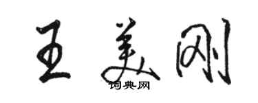 駱恆光王美剛行書個性簽名怎么寫