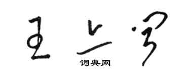 駱恆光王亦聞草書個性簽名怎么寫