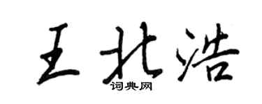王正良王北浩行書個性簽名怎么寫