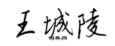 王正良王城陵行書個性簽名怎么寫