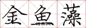 龐中華金魚藻楷書怎么寫