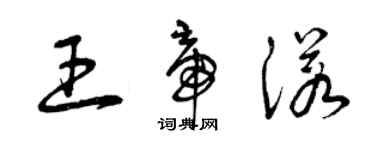 曾慶福王帝諾草書個性簽名怎么寫